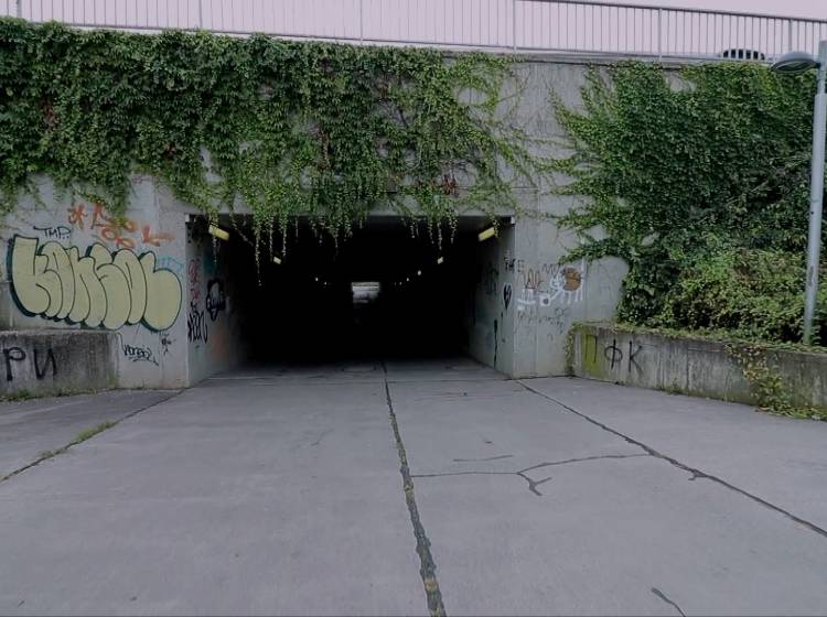 Oberlaa: Kästenbaumtunnel wird umgestaltet