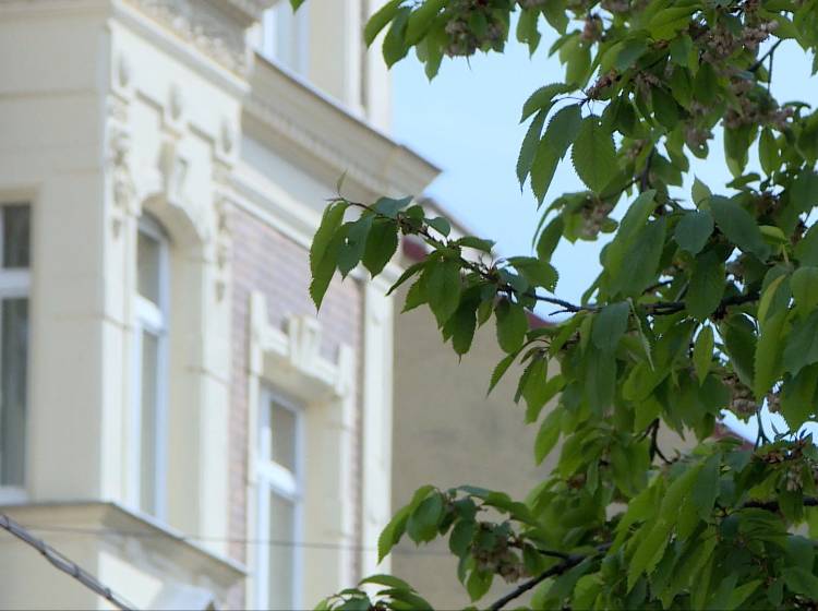 Offensive Altbauten: Bilanz nach einem Jahr