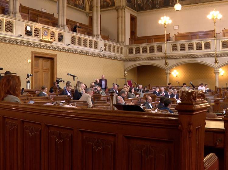 Gemeinderat: Rot-pinker Antrag zu Wohnsitzauflage