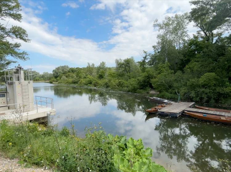 Lobau: Wasserzufuhr aus der Neuen Donau