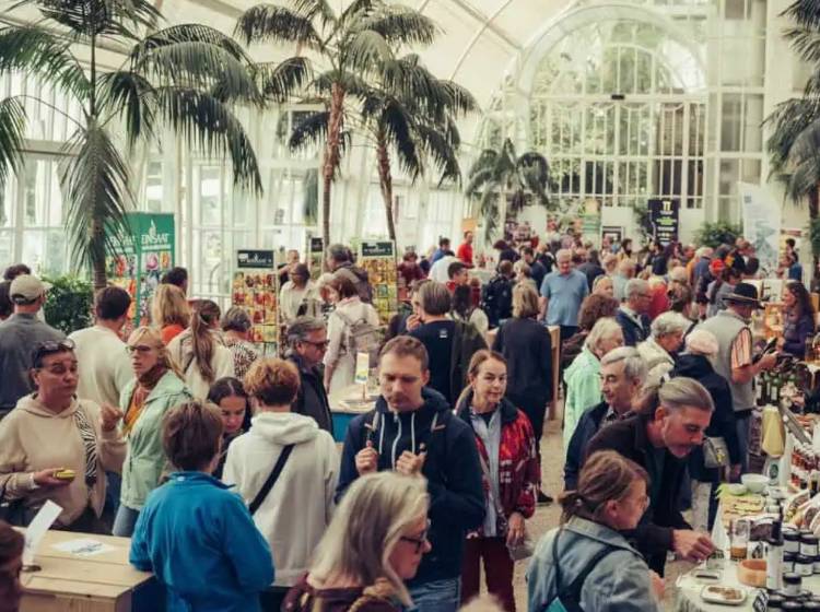 Kulturtipps: Ein Genussmarkt, ein Festival und jede Menge Jazz