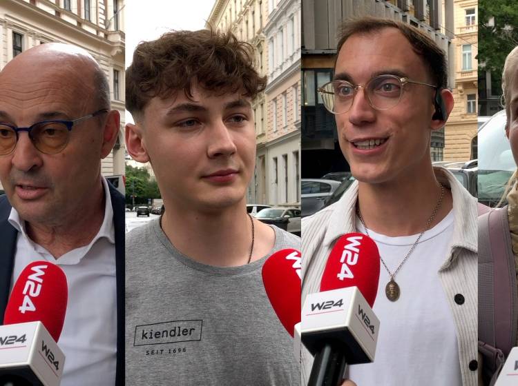 EU-Wahl: Das sagen die Wiener*innen