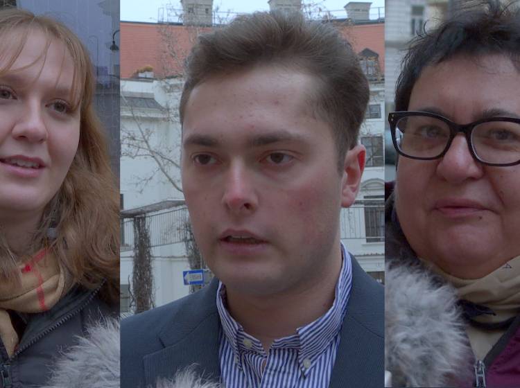 Herbert Kickl als Kanzler? Das sagt Wien