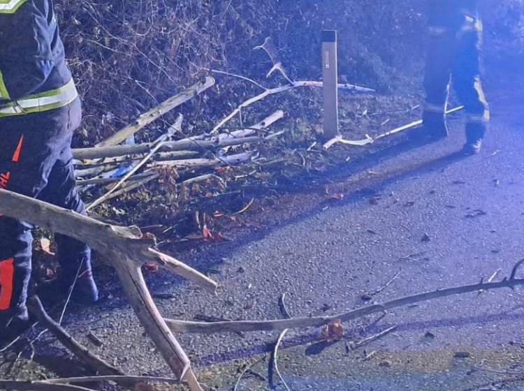 Sturm: 70 Einsätze für Feuerwehr