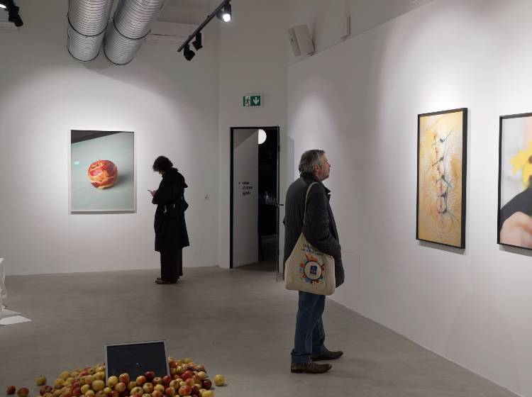 Genuss oder Gift – Stefanie Moshammer im Kahan Art Space