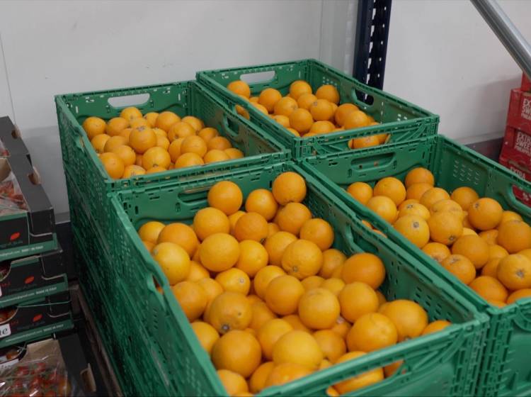 Tafel Österreich: Digitale Plattform für Lebensmittelrettung