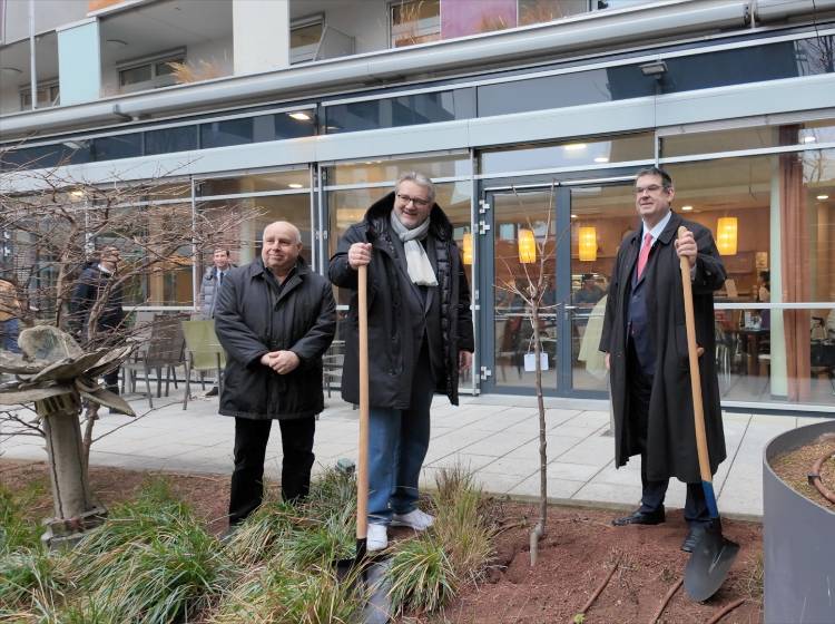 Ein Kirschbaum namens Peter