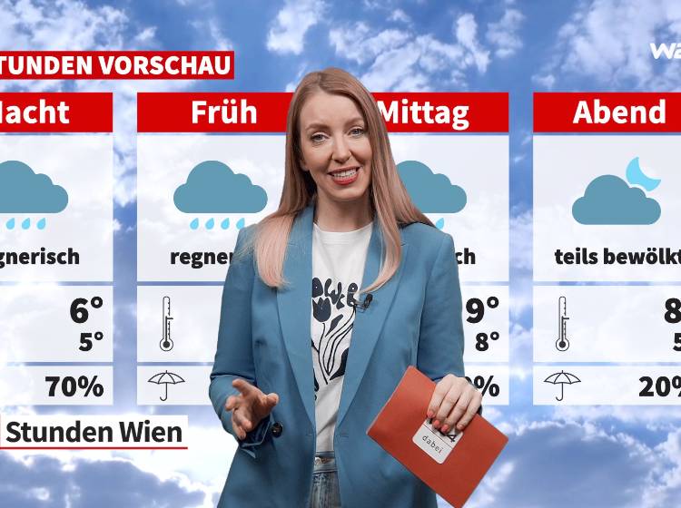 24 Stunden Wien Wetter: Regnerischer Spätwintertag