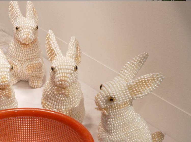 Sozialer Surrealismus mit Humor: Mika Rottenberg im Kunst Haus Wien