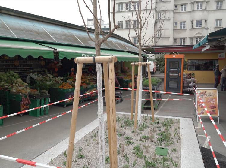 Klimafit: Ein Nexoradendach für den Schlingermarkt