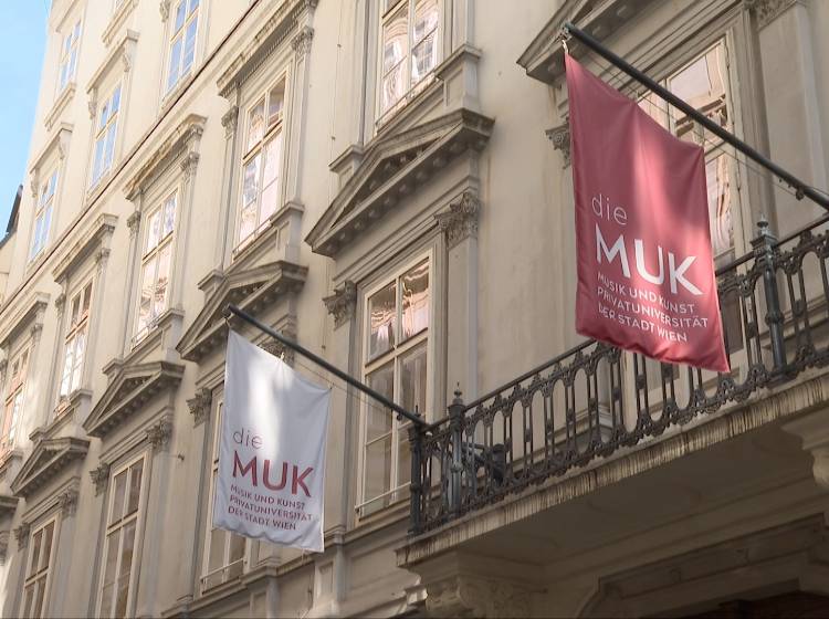 Bezirksflash: Erste Pläne für die MUK präsentiert