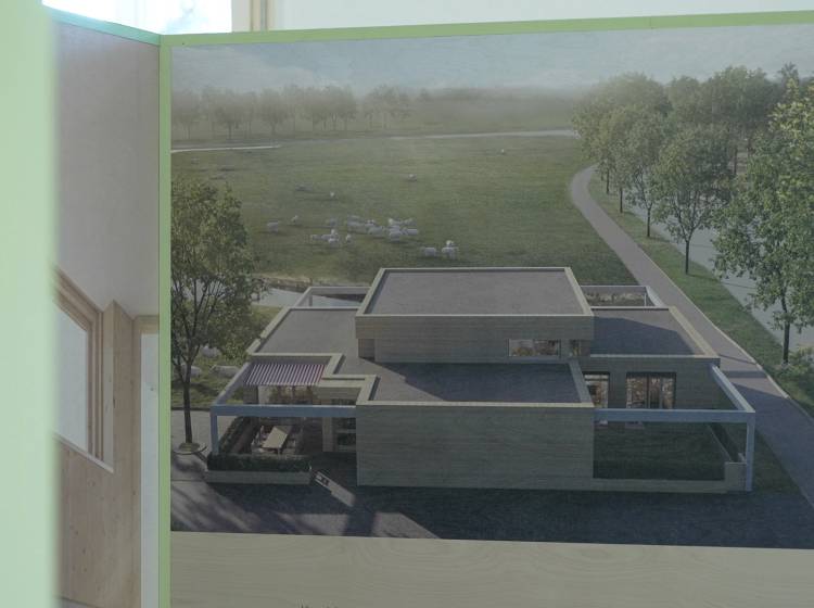 Das Kranke(n)Haus - Wie Architektur heilen hilft