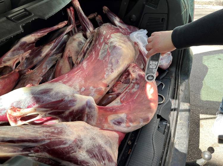 Gruppe Sofortmaßnahmen: 150 Kilo Fleisch beschlagnahmt