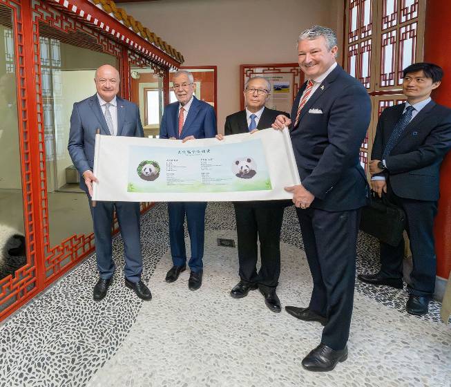 Schönbrunn: Neues Panda-Duo als Highlight