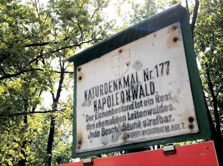 Bezirksflash: Weiter Streit um Hietzinger Napoleonwald