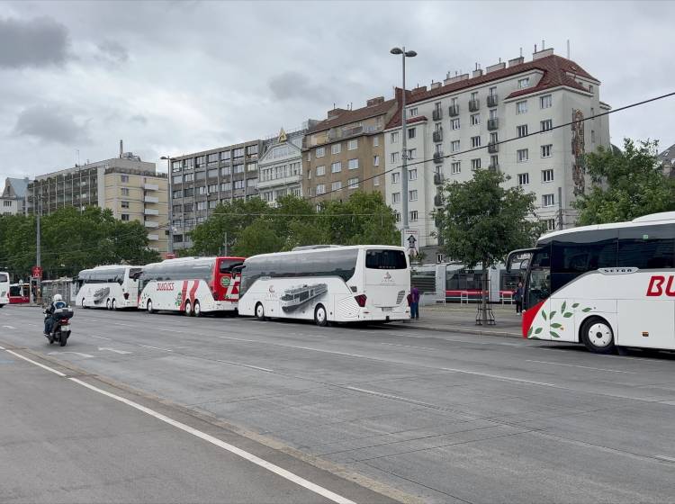 Schwedenplatz: Timing auf der Busspur