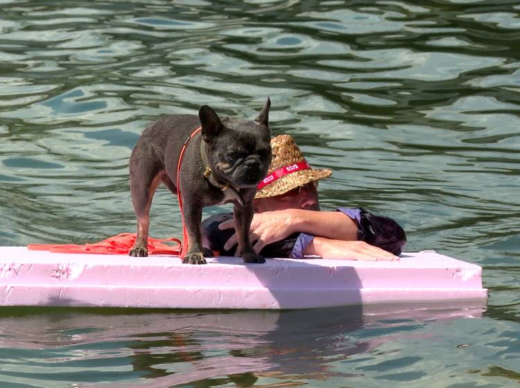 Hitze: „Alles ruhiger angehen“