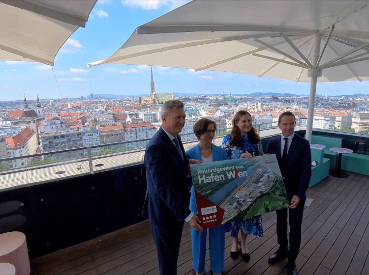 Hafen Wien erzielt 2024 mehr Gewinn