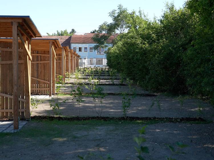 Endlich garteln im eigenen „Gartl“