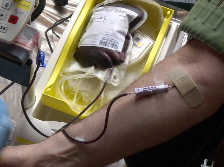 Rotes Kreuz: Das Land braucht dringend Blut