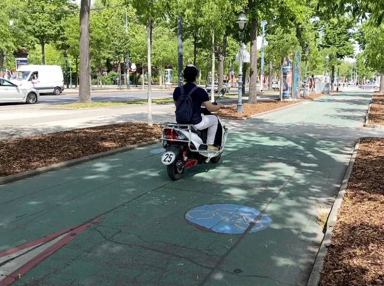Stadt Wien fordert E-Moped-Verbot auf Fahrradwegen