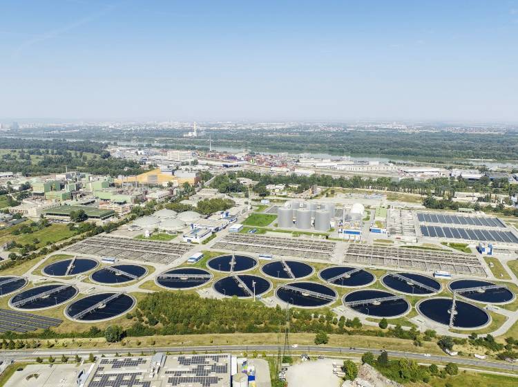 EBS Wien: 45 Jahre im Dienst der Sauberkeit