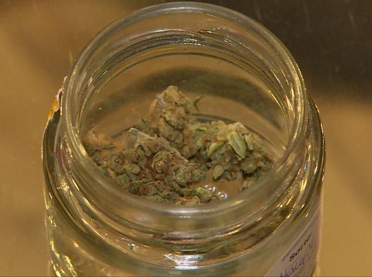 CBD: Trafiken verkaufen bald legalen Hanf