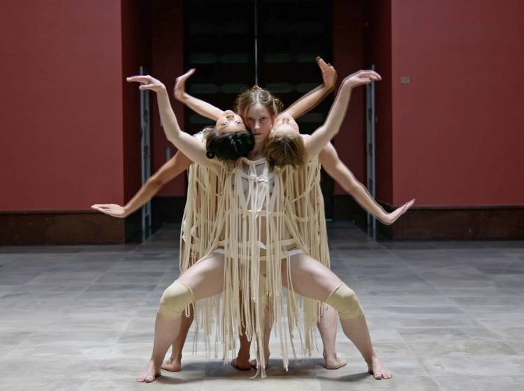 ImPulsTanz-Festival eröffnet