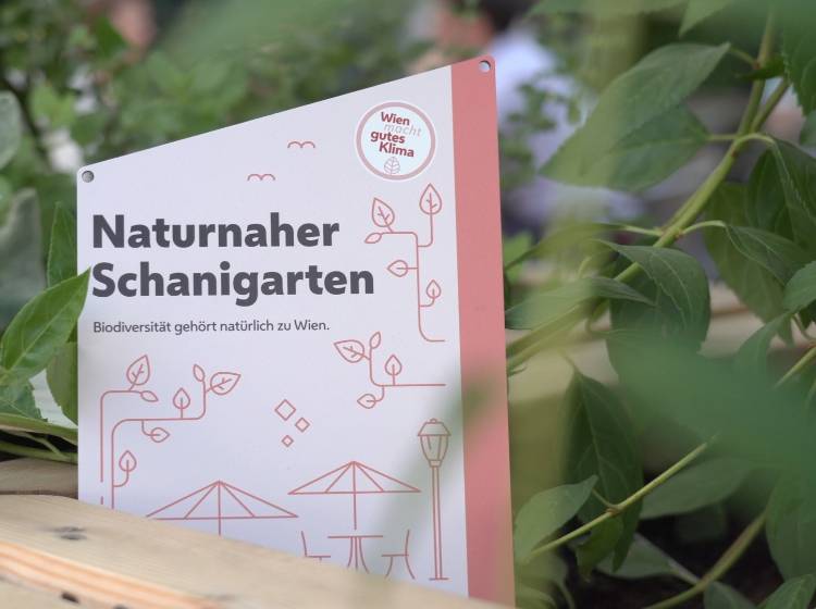 Grünoase: Naturnaher Schanigarten am Alsergrund