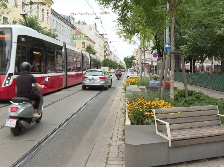 Hitze: Tut Wien genug dagegen?