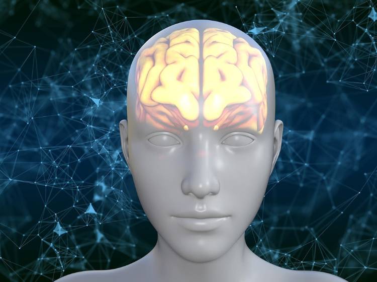 Wiener Forscher findet neuen Ansatzpunkt gegen Parkinson