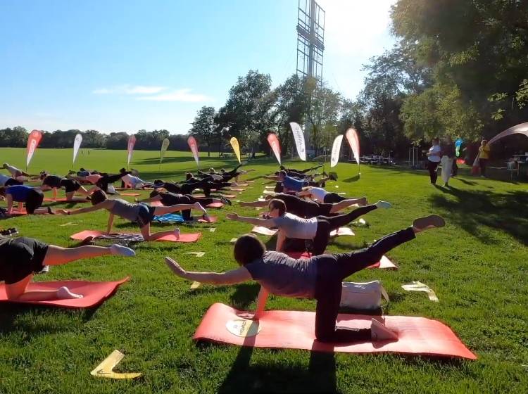 Kulturtipps: Bewegung für alle