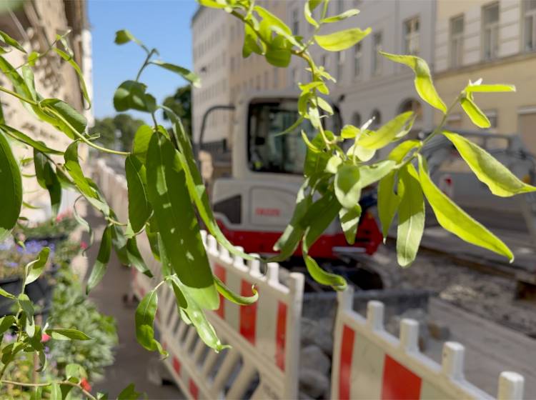Bezirksflash: Rembrandtstraße wird umgestaltet