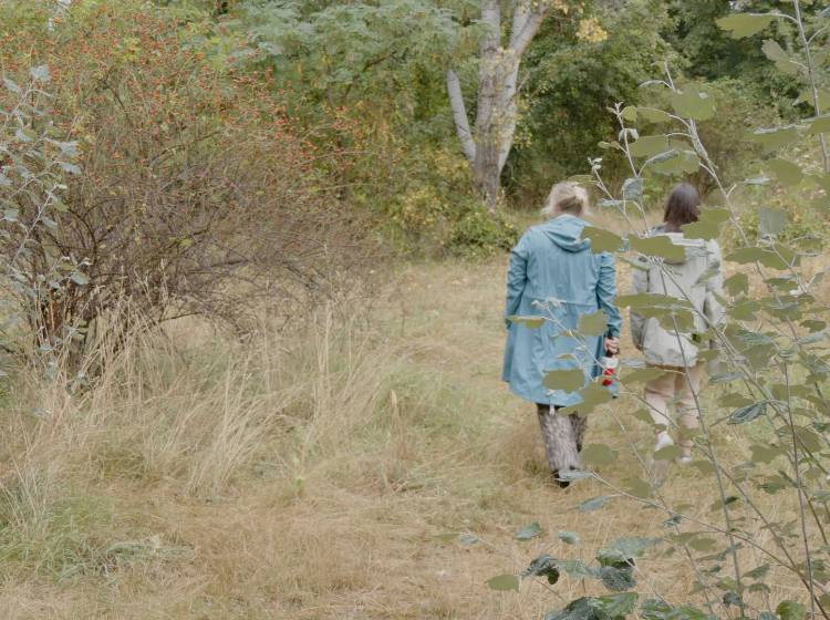 Studie: "Positives Signal für mehr Stadtwildnis"