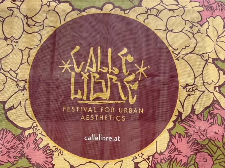 Calle Libre: Kunst auf den "freien Straßen" Meidlings