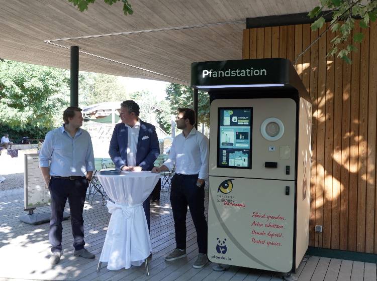 „Pfandabären”-Zuwachs in Schönbrunn