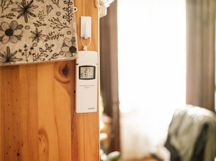 Greenpeace: Wohnungen werden zur Hitzefalle