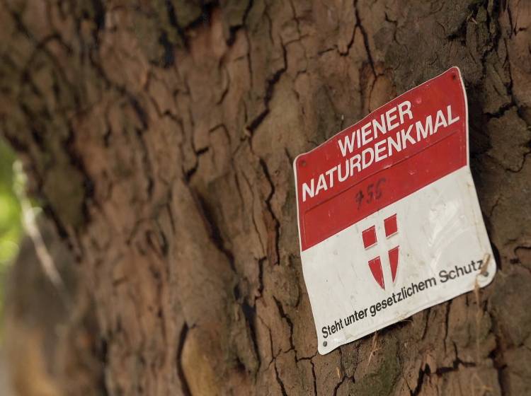 Denkmäler: "Made by Nature"