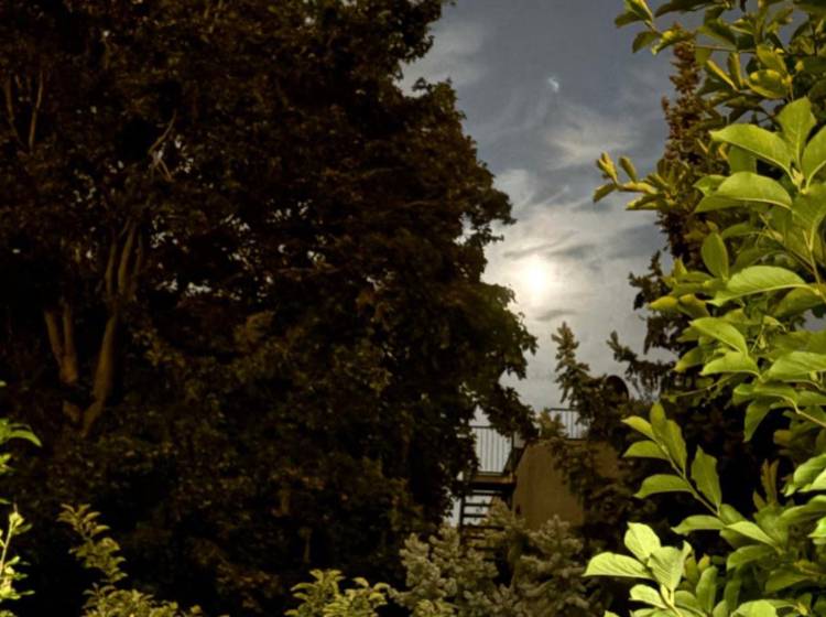 Totale Mondfinsternis über Wien teilweise sichtbar