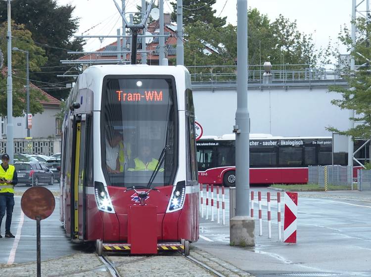 Tram-WM: Alles auf Schiene