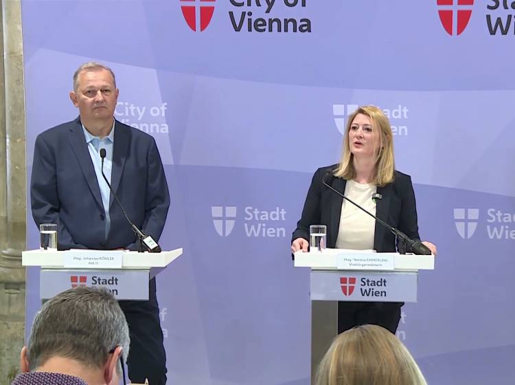 Minderjährige Täter: Wien startet "Orientierungshilfe" mit Buddies