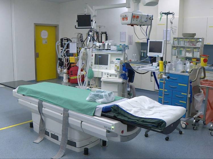 Gastpatient*innen: Wiens Grüne drängen auf Versorgungsregion im Osten