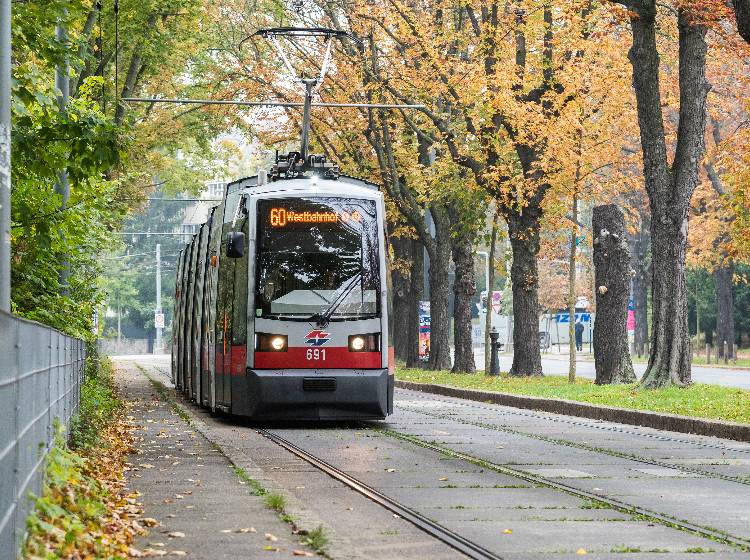 Liesing: Wasserrohrbruch sorgt für Öffi-Störung