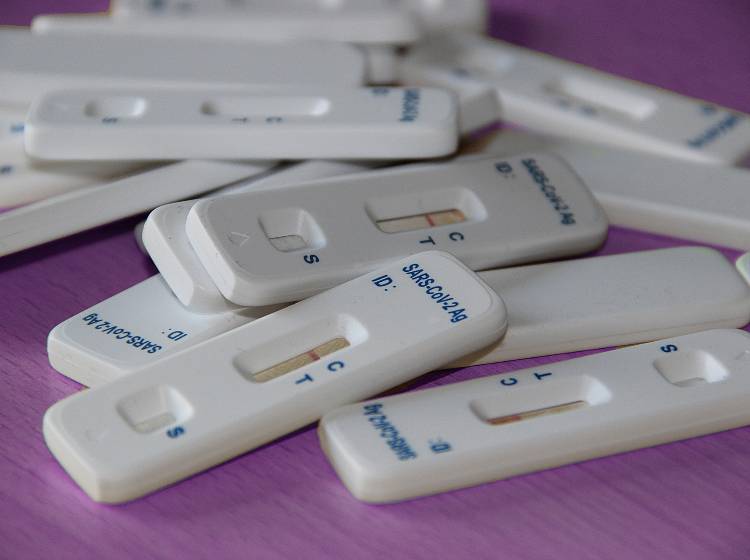 Grippe, RSV und Co.: Neues Referenzzentrum für respiratorische Viren