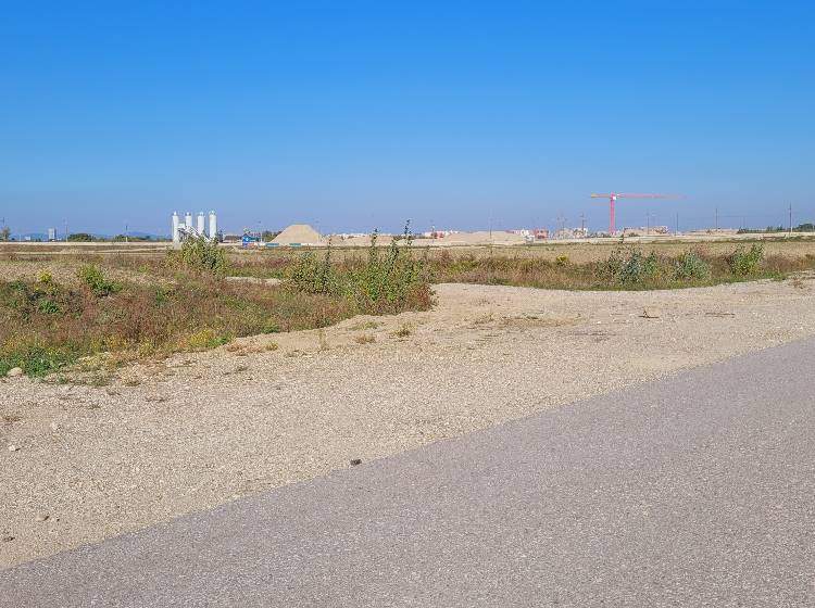 Seestadt: Warten auf Wüstenbelebung