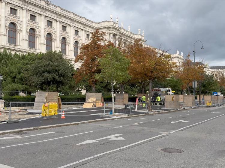 Bezirksflash: Hitzeschutz für Bäume