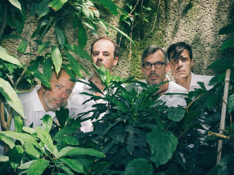 Heimische Konzerthighlights im November