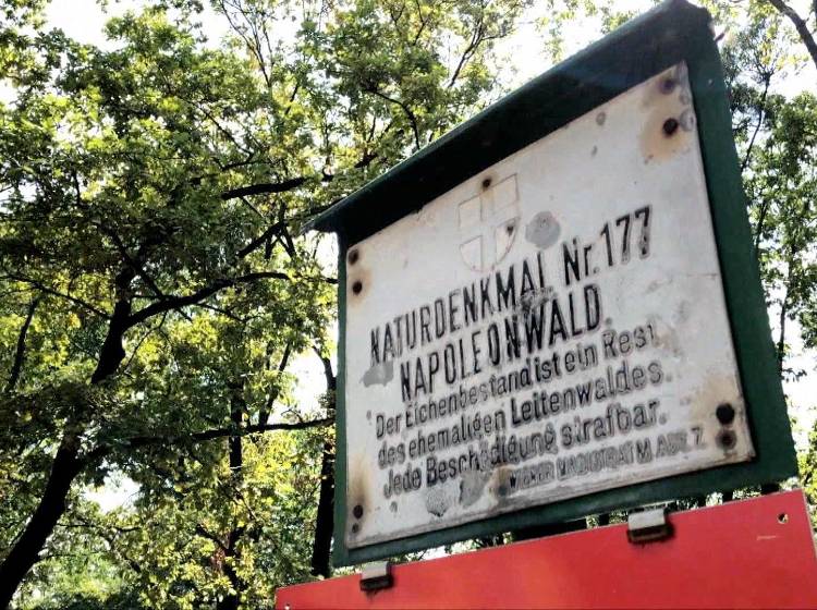 Bezirksflash: Bauprojekt Napoleonwald wackelt wegen Naturschutz