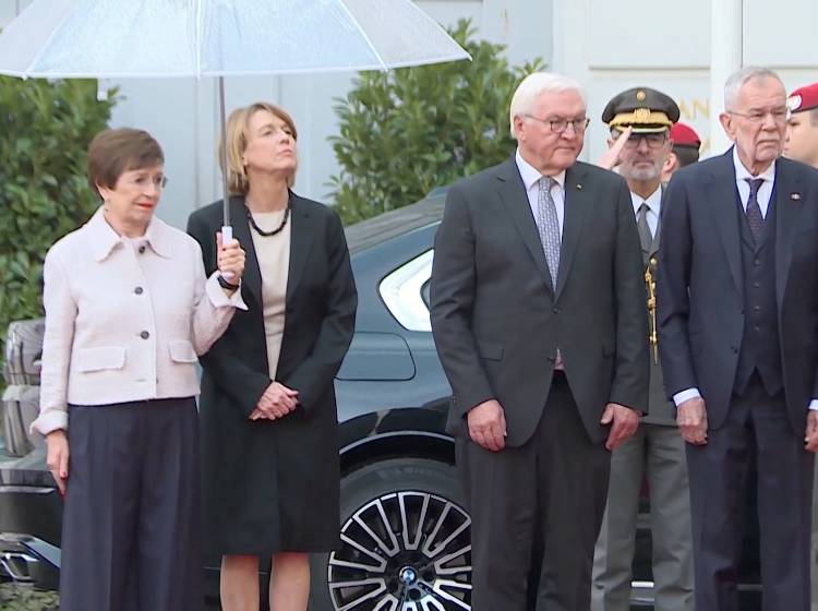 Staatsbesuch: Steinmeier in Wien