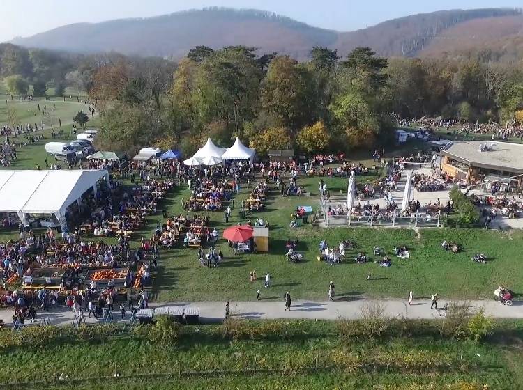 Kulturtipps: Viennale, Kürbisfest und eine Reise zum Machu Pichu